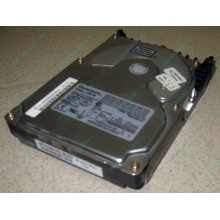 Жесткий диск 18.4Gb Quantum Atlas 10K III U160 SCSI (Стерлитамак)