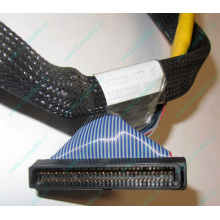 Кабель SCSI HP 166298-037 для HP ML370 G4 (Стерлитамак)