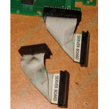 Шлейф 24pin 6017B0045701 для Intel C74974-401 T0043401-B01 (Стерлитамак)