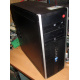 БУ компьютер HP Compaq Elite 8300 (Intel Core i3-3220 (2x3.3GHz HT) /4Gb /250Gb /ATX 320W) - Стерлитамак