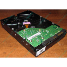 Жесткий диск 500Gb WD WD5000AAKX HP 634605-003 613208-001 7.2k SATA (Стерлитамак)