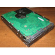 Жесткий диск 300Gb 15k Seagate Cheetach ST3300656SS 15K.6 Dell 9CH066-050 6G SAS (Стерлитамак)