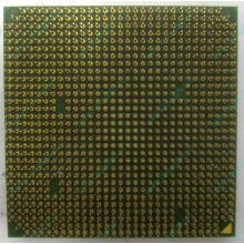 Процессор AMD Sempron 3000+ (1.6GHz) SDA3000IAA3CN s.AM2 (Стерлитамак)